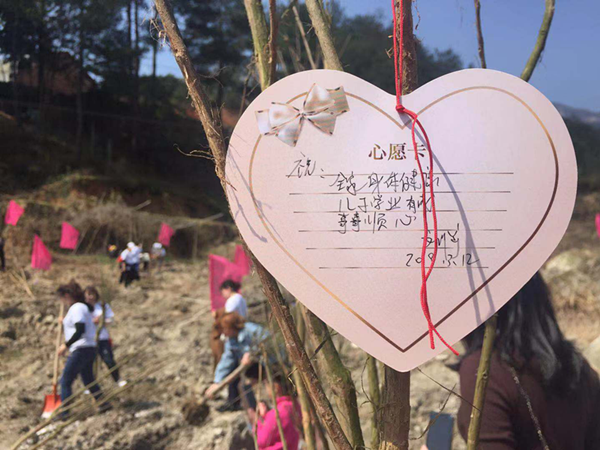 图片13.png