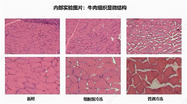 图片2_副本.png