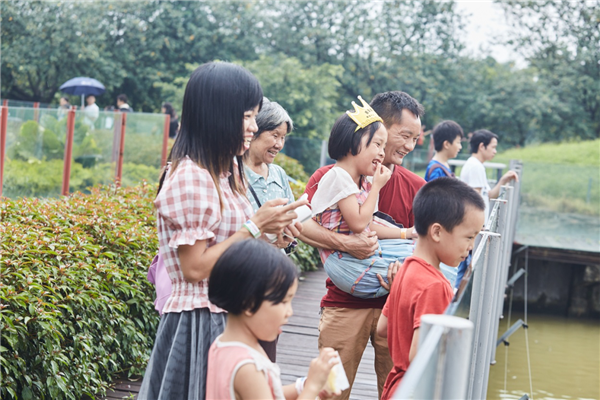 图片8_副本.png