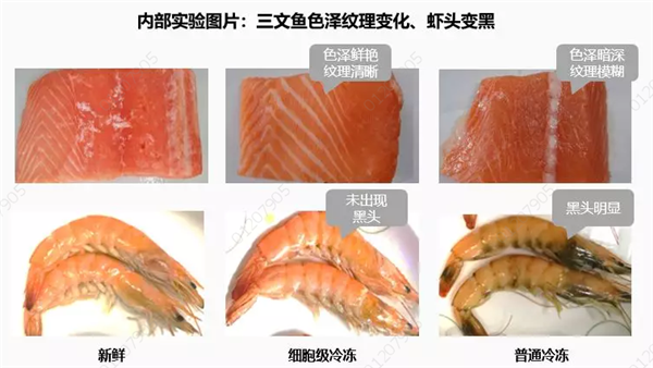 图片3_副本.png