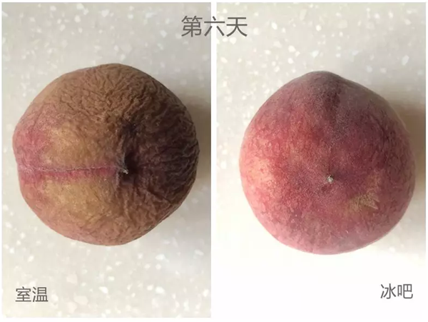 图片21_副本.png
